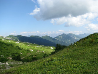 Similar image 550021