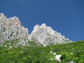 Similar image 550023