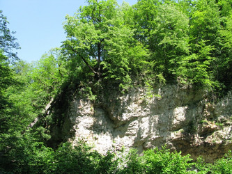 Similar image 550028