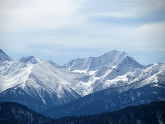 Similar image 550034