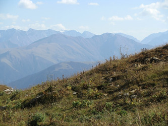 Similar image 550067