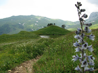 Similar image 550080