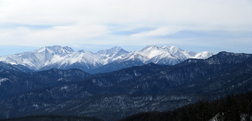 Similar image 550129