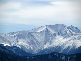 Similar image 550134