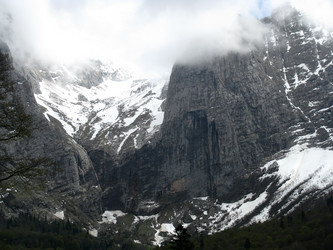 Similar image 550144