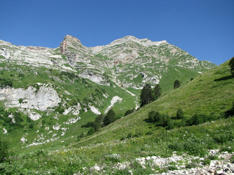 Similar image 550152