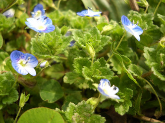 Similar image 550155