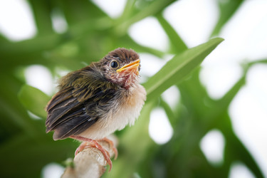 Similar image 550236