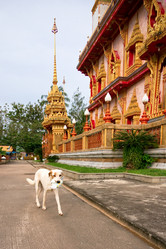 Similar image 550244