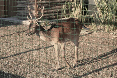 Similar image 550251