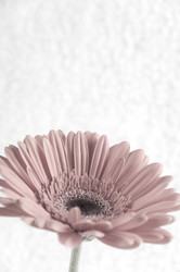 Similar image 550267