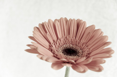 Similar image 550269