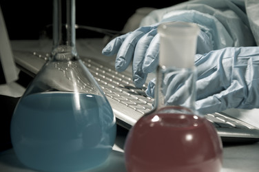 Similar image 550305