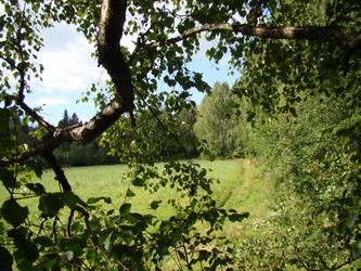 Similar image 550553