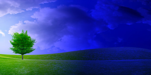 Similar image 550630