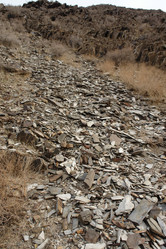 Similar image 550652