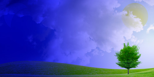 Similar image 550655