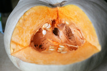 Similar image 550676