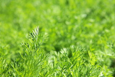 Similar image 550750