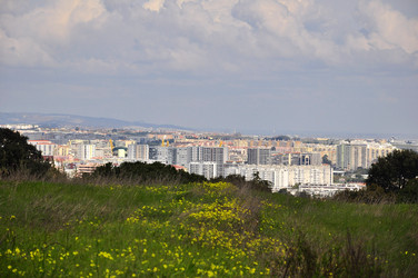 Similar image 550758