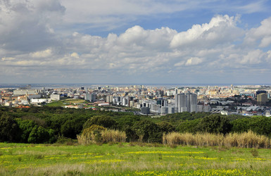 Similar image 550761