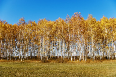 Similar image 550818