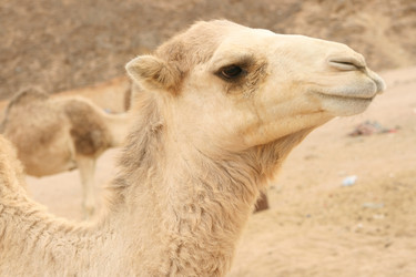 Similar image 550851