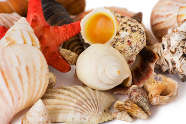 Similar image 550911