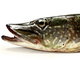 Similar image 550919