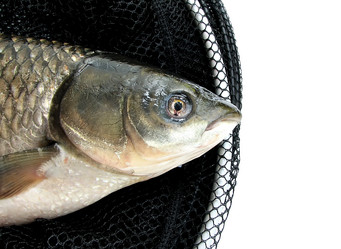 Similar image 550929