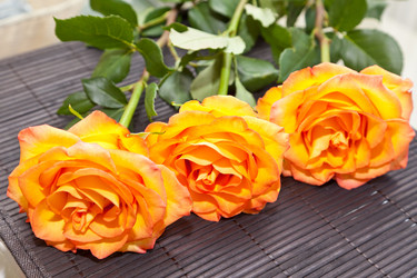 Similar image 550931