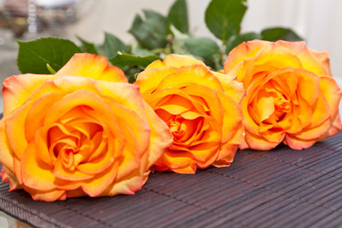 Similar image 550937