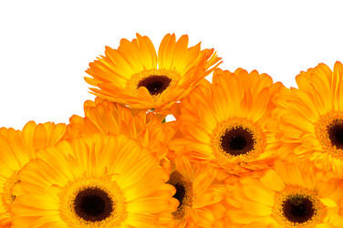 Similar image 551048