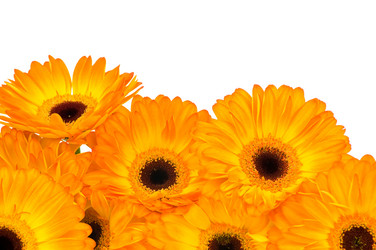 Similar image 551051