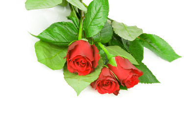 Similar image 551132