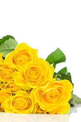 Similar image 551151