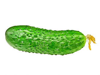 Similar image 551208