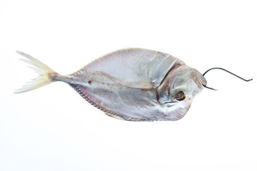 Similar image 551263