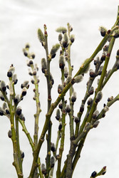 Similar image 551286