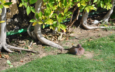 Similar image 551300