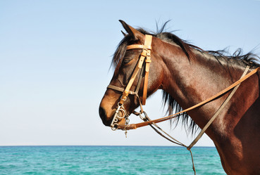 Similar image 551303