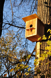 Similar image 551305