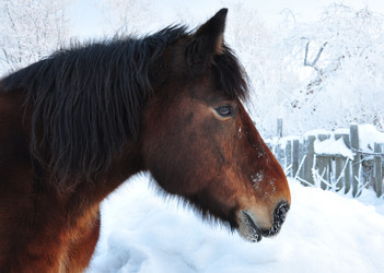 Similar image 551308