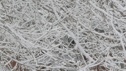 Similar image 551315