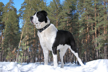 Similar image 551332