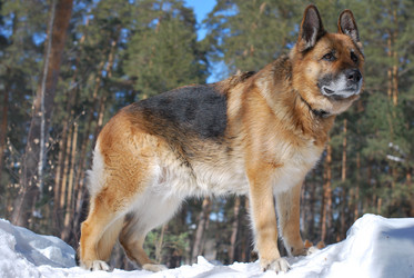 Similar image 551375