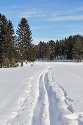 Similar image 551380