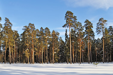 Similar image 551389