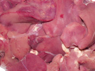 Similar image 551510