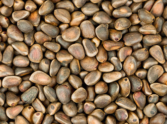 Similar image 551665